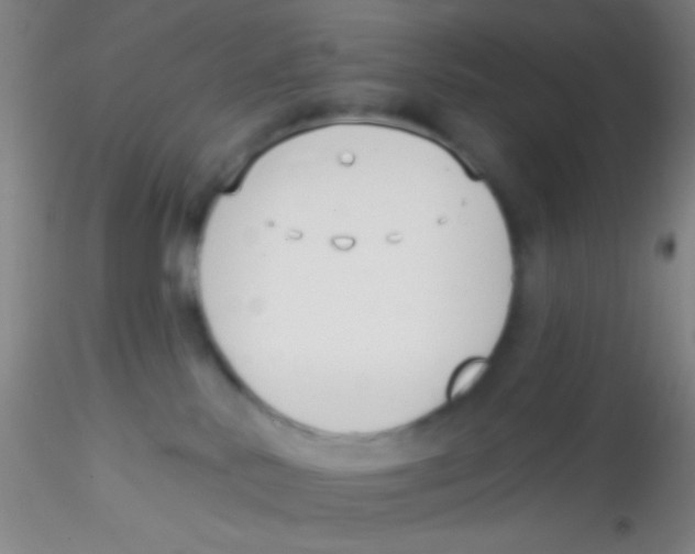 X0000115200042200911251454