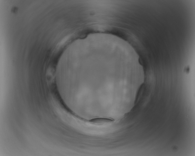 X0000115200043200911251454