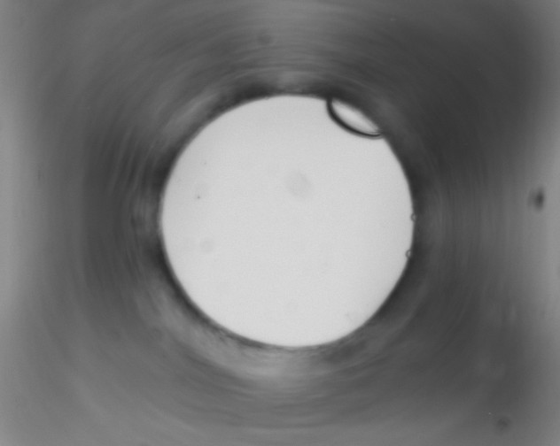 X0000115200044200911251454