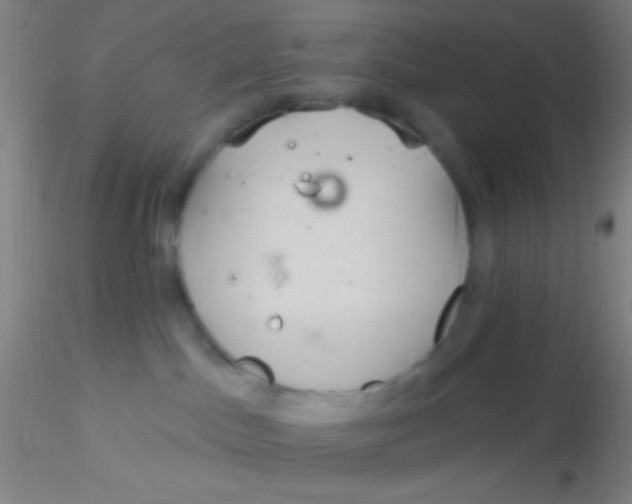 X0000115200045200911251454