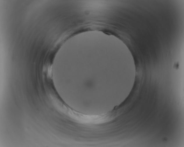 X0000115200046200911251454