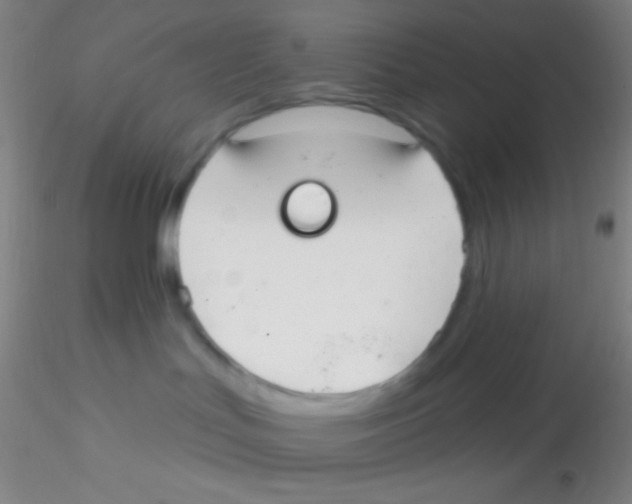 X0000115200047200911251454
