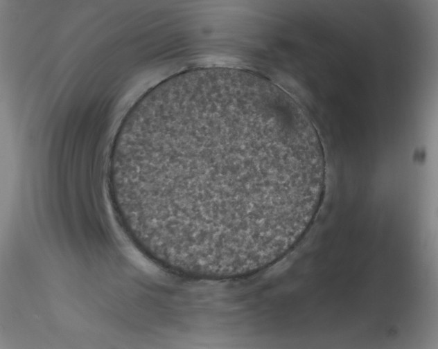 X0000115200049200911251453
