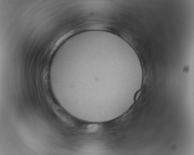 X0000115200050200911251453