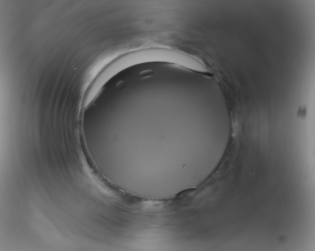X0000115200052200911251453