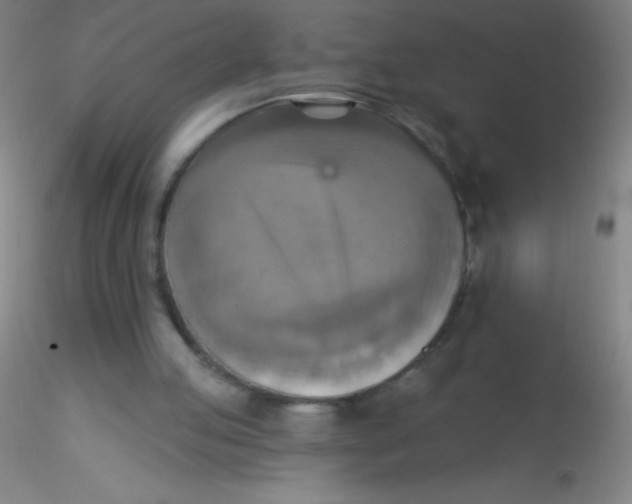 X0000115200053200911251453