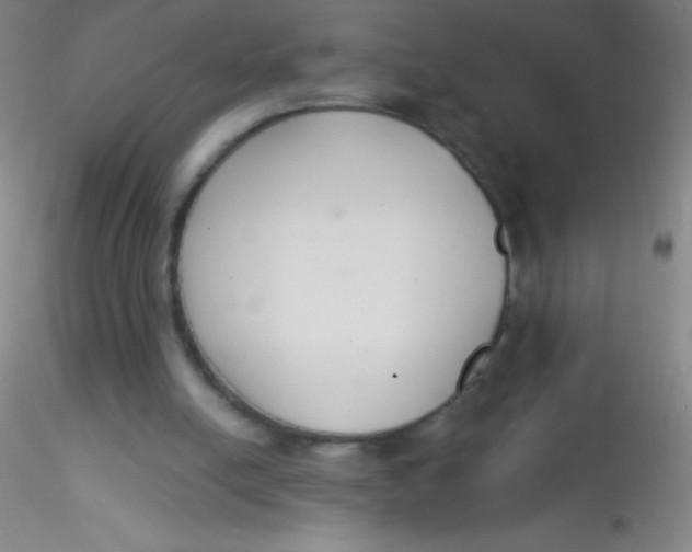 X0000115200054200911251453