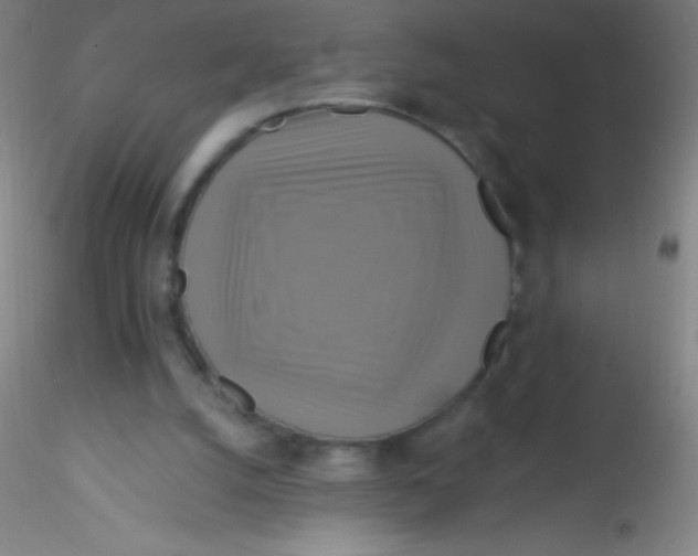 X0000115200056200911251453