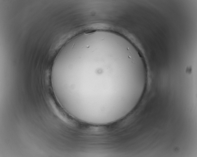 X0000115200057200911251453