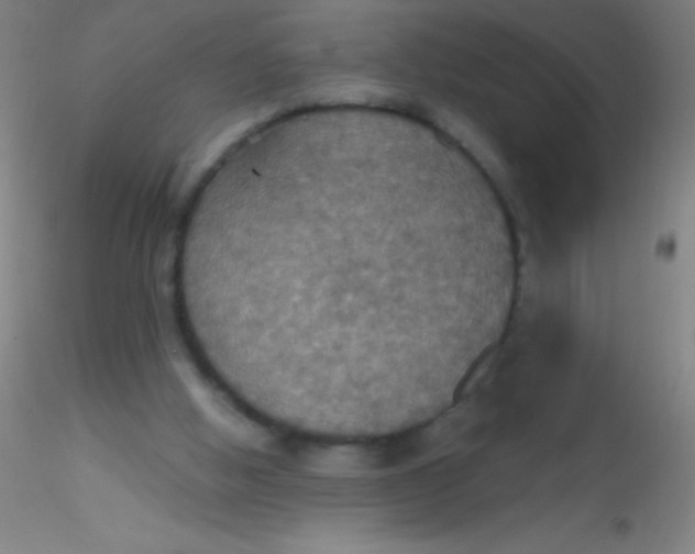 X0000115200058200911251453