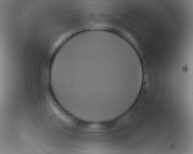 X0000115200059200911251453