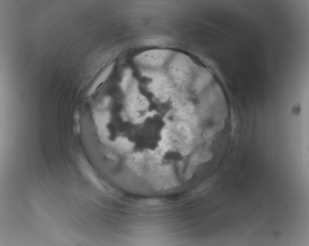 X0000115200061200911251453