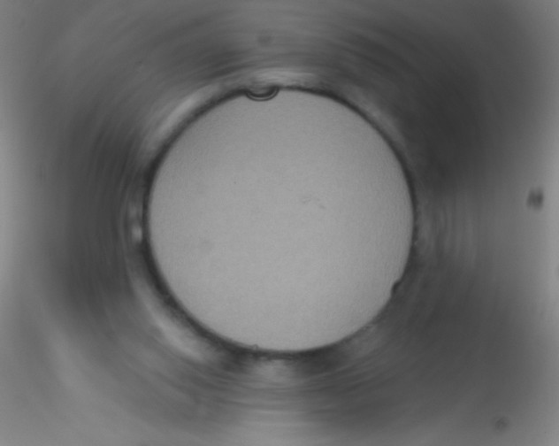 X0000115200062200911251453
