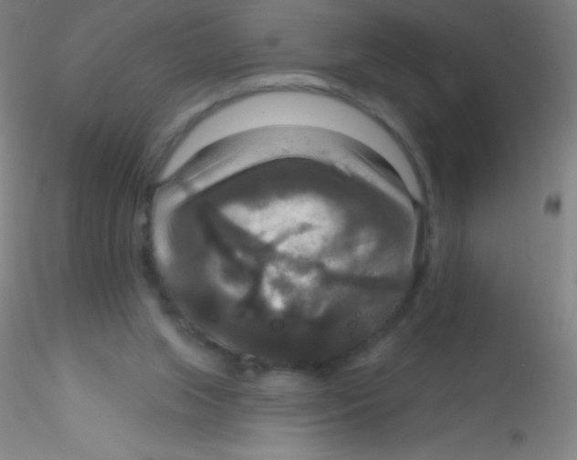 X0000115200063200911251453