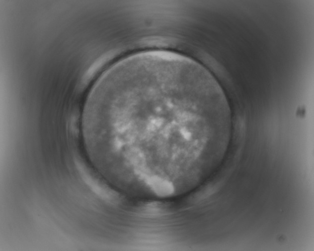 X0000115200064200911251453