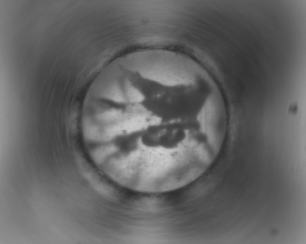 X0000115200065200911251453