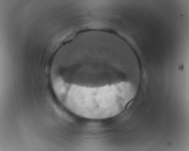 X0000115200066200911251453