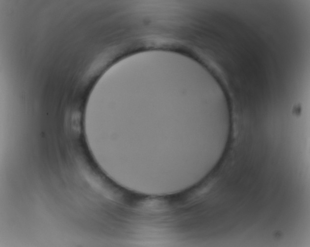 X0000115200067200911251453