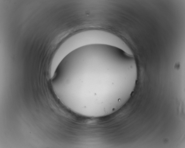 X0000115200068200911251453