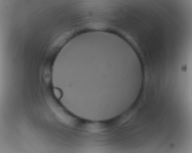 X0000115200069200911251453