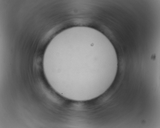 X0000115200071200911251453