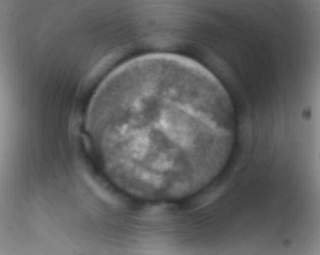X0000115200072200911251453