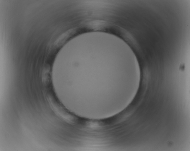 X0000115200073200911251453