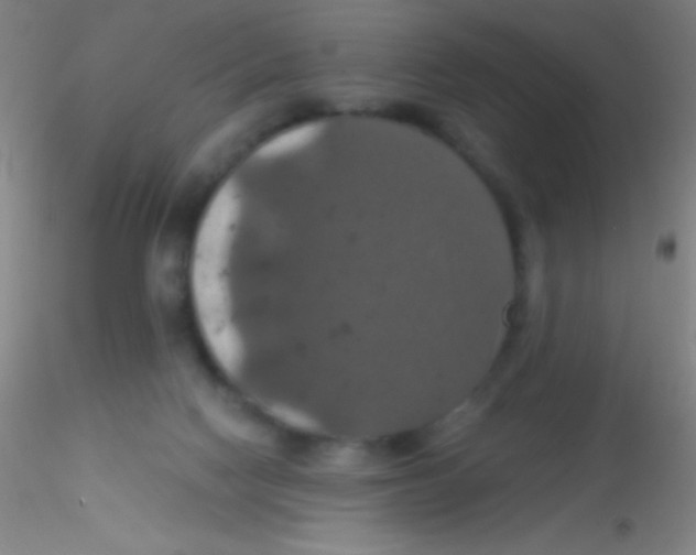 X0000115200074200911251453