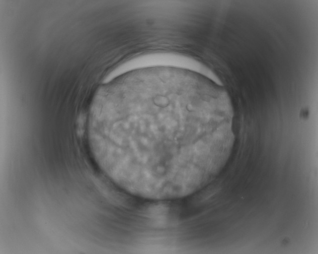 X0000115200075200911251453