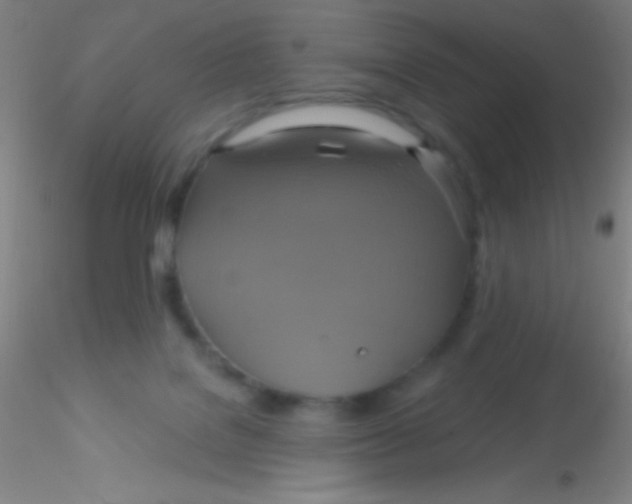 X0000115200076200911251453