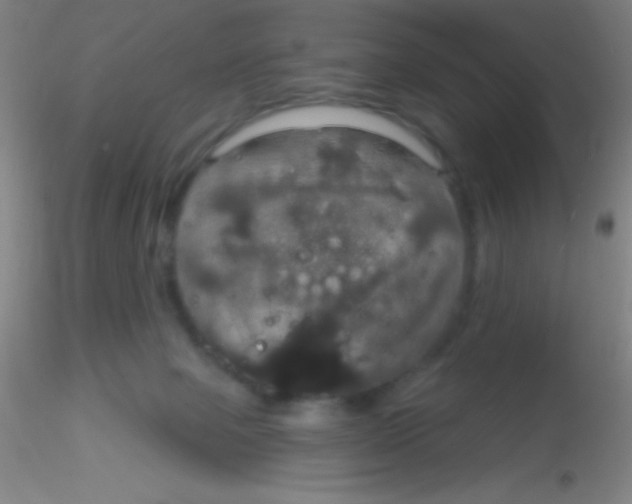 X0000115200077200911251453