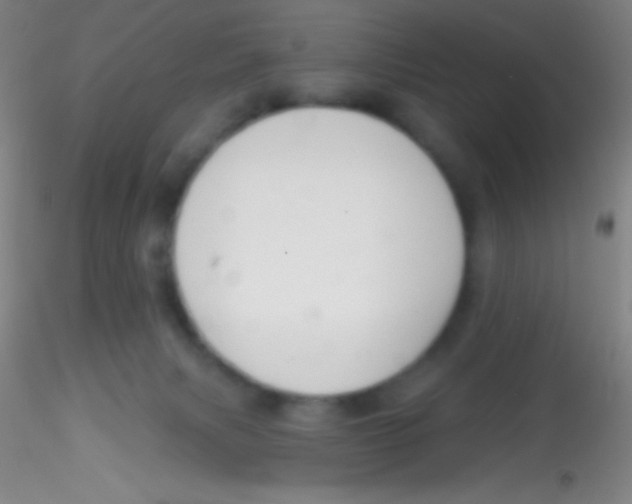 X0000115200079200911251453