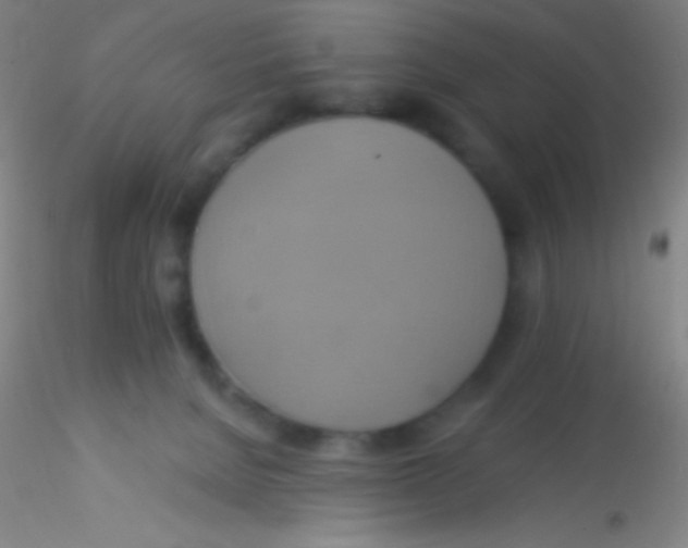 X0000115200080200911251453