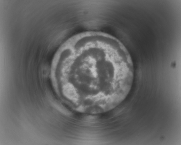 X0000115200081200911251453