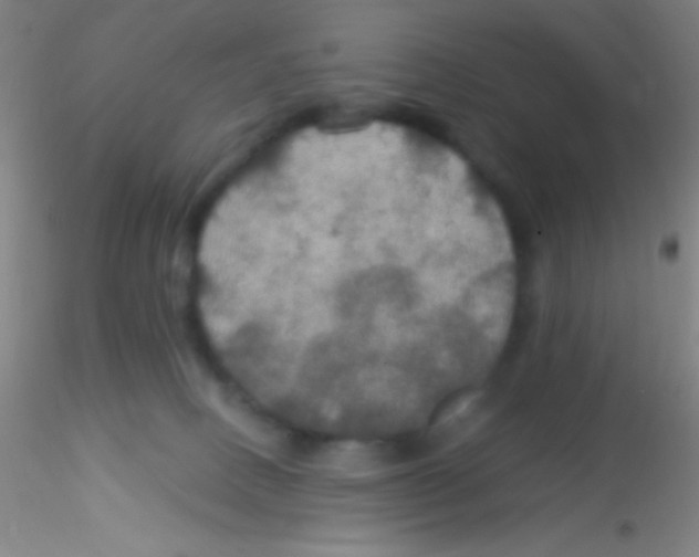 X0000115200082200911251453