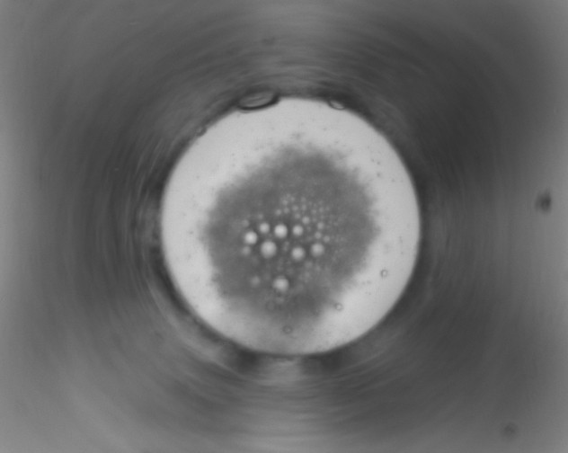 X0000115200083200911251453