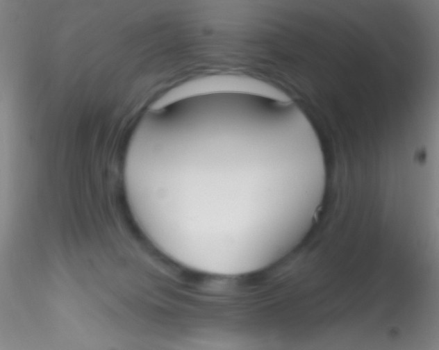 X0000115200084200911251453