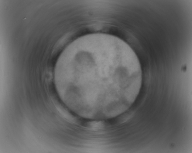 X0000115200085200911251453