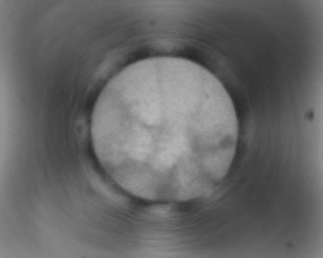 X0000115200086200911251453