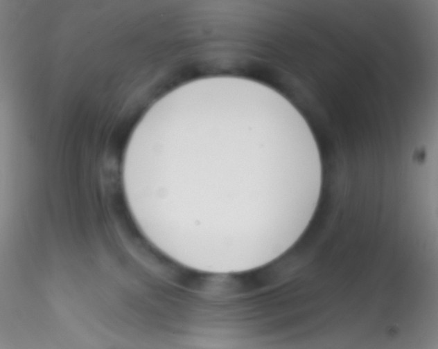 X0000115200087200911251453