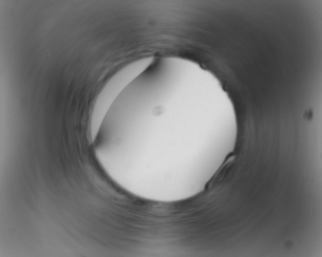 X0000115200088200911251453