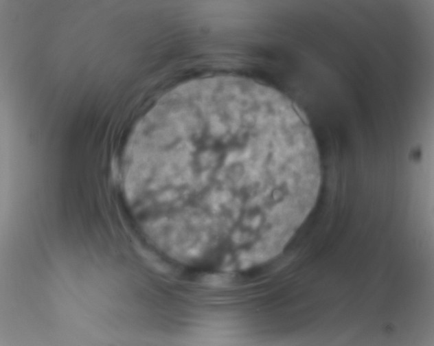 X0000115200089200911251453