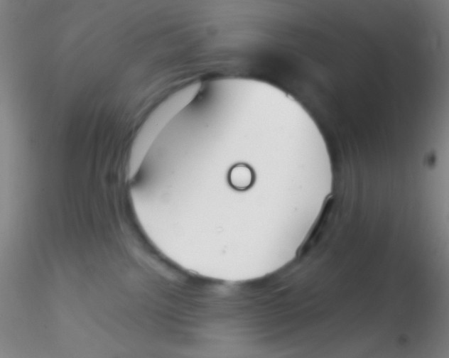 X0000115200092200911251453