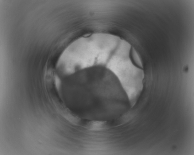 X0000115200093200911251454