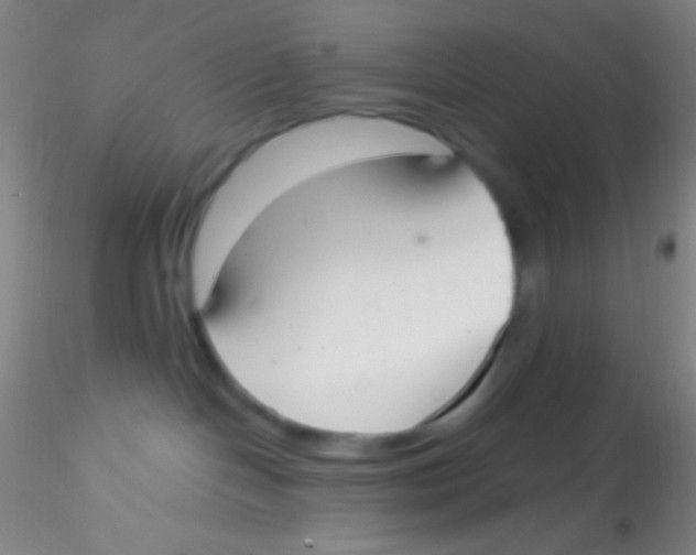 X0000115200094200911251454
