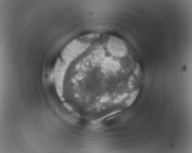 X0000115200095200911251454