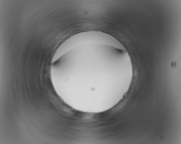 X0000115200096200911251454