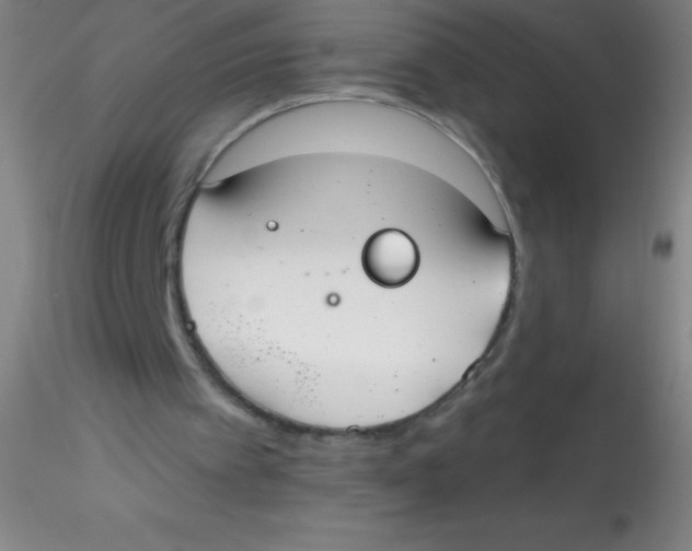 X0000115200097200911251453