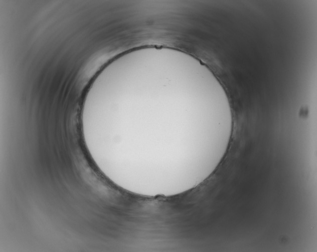 X0000115200098200911251453