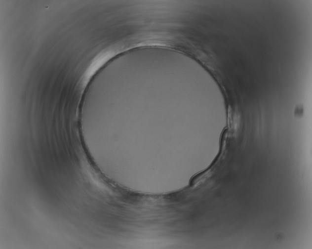 X0000115200099200911251453